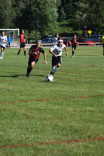 积累与努力 积累与努力