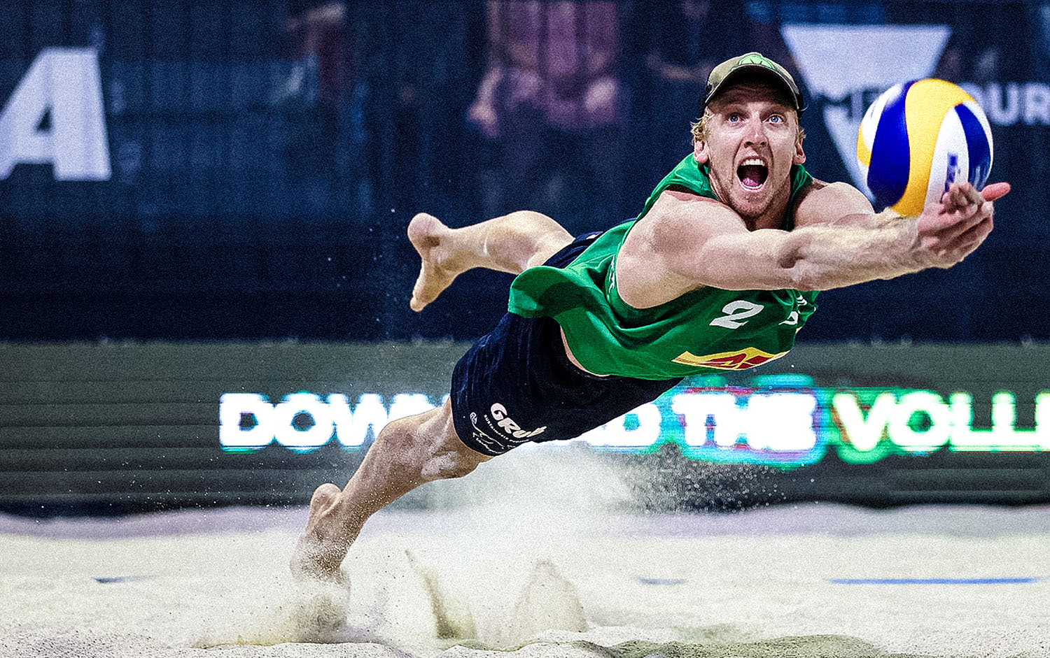 他入籍运动 他入籍运动