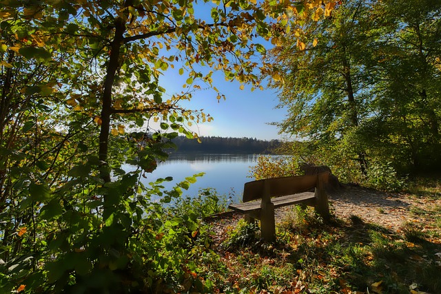 这使得穆西 这使得穆西